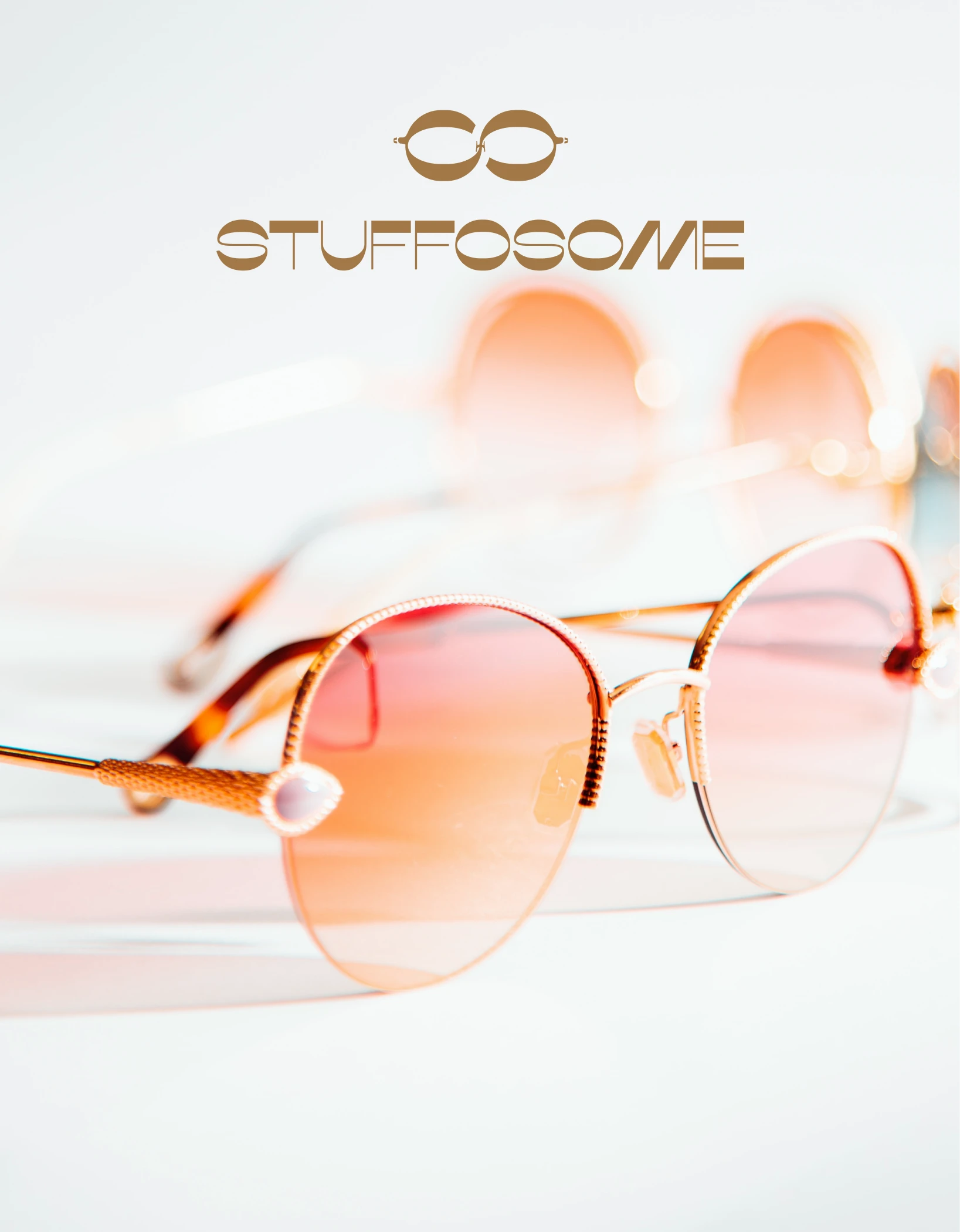Stuffosome