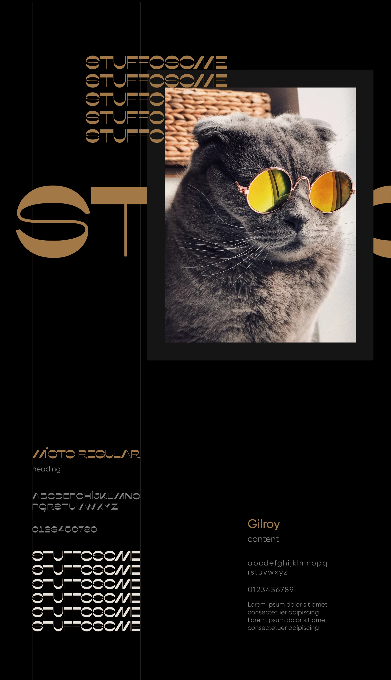 Stuffosome
